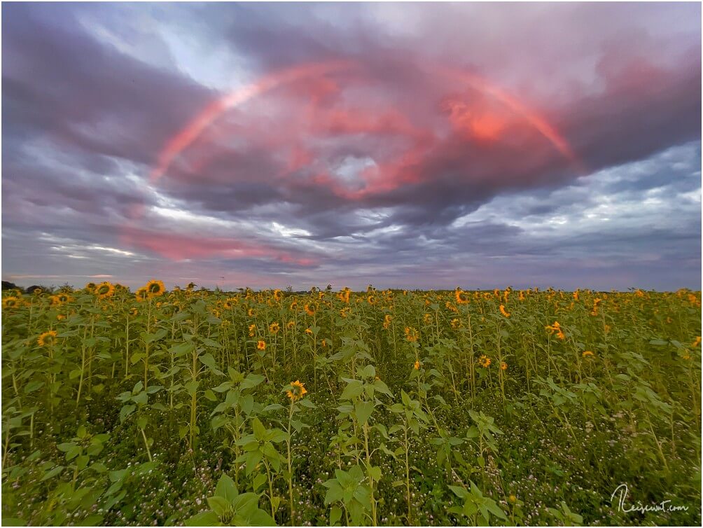 Sieht man auch nicht alle Tage: Regenbogen zum Sonnenuntergang