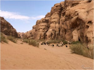 Wadi Rum Impression