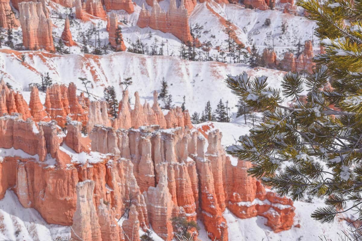 Bryce Canyon im Winter ist zauberhaft